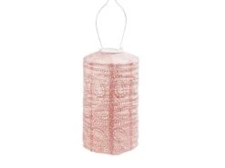 Lumiz Paisley Cylinder 18 Solar Lampion -Tuin & Buiten Shop 594573 594573 images main lumiz paisley cylinder 18 solar lampion roze ecommerce